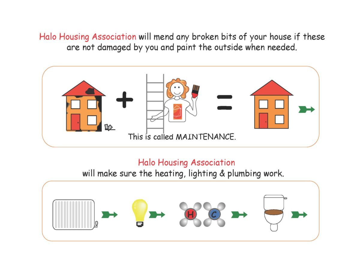Pictorial tenancy agreement, page 7 of 21